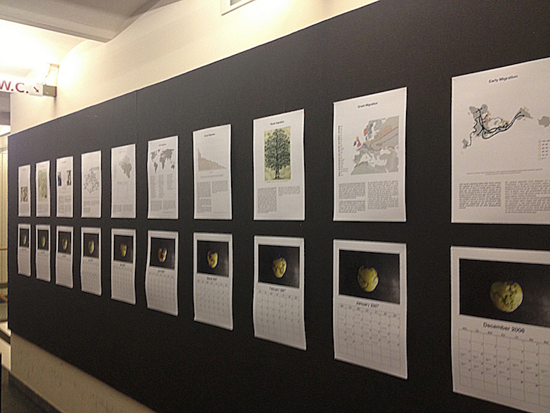 Sarah van Lamsweerde