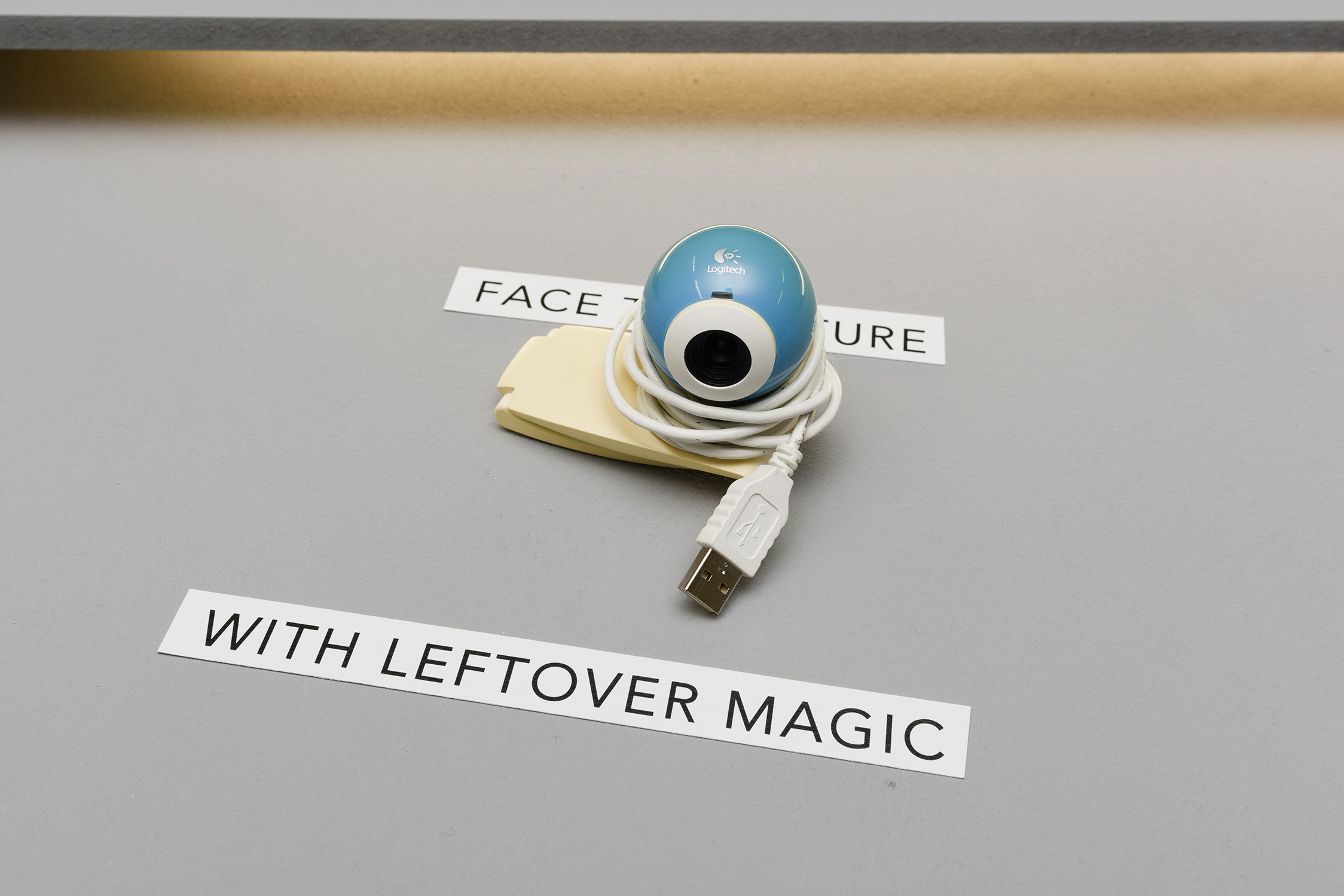 Sarah van Lamsweerde