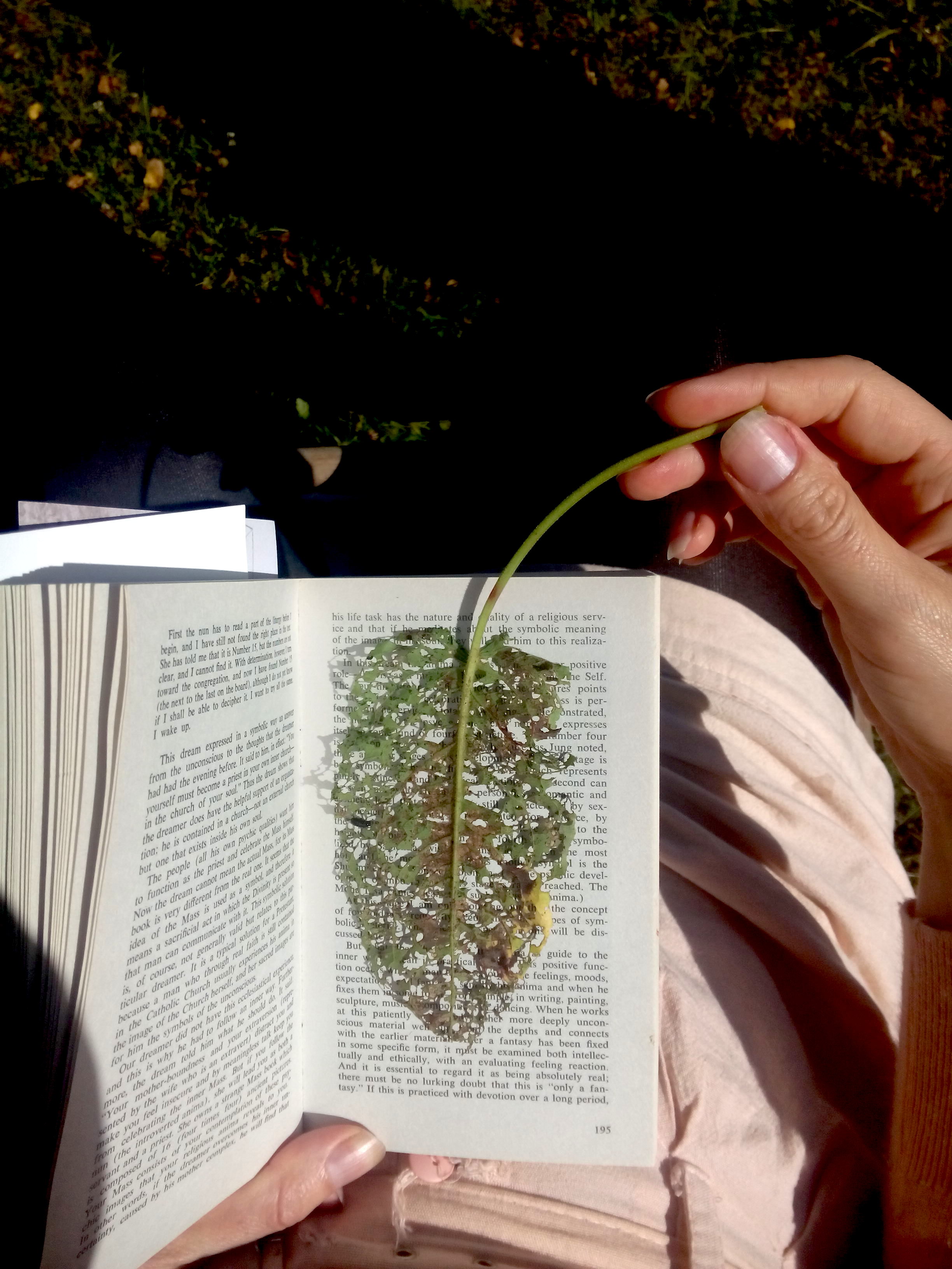 Sarah van Lamsweerde